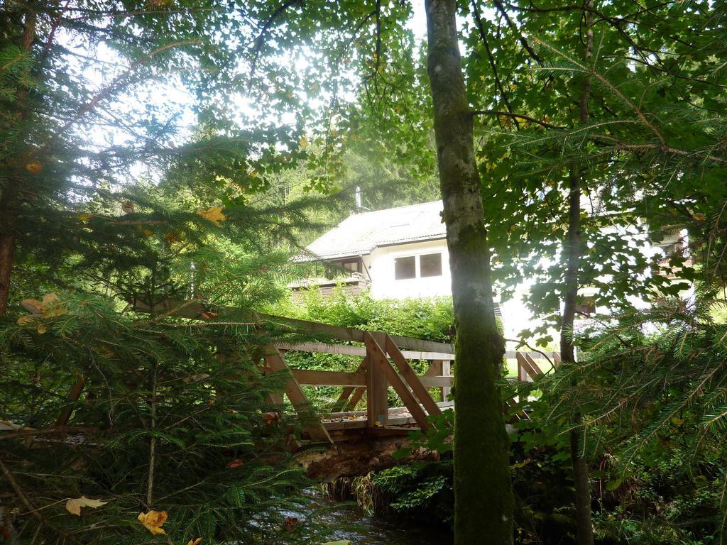 Apartment Schwarzwald Total Freudenstadt Pokoj fotografie