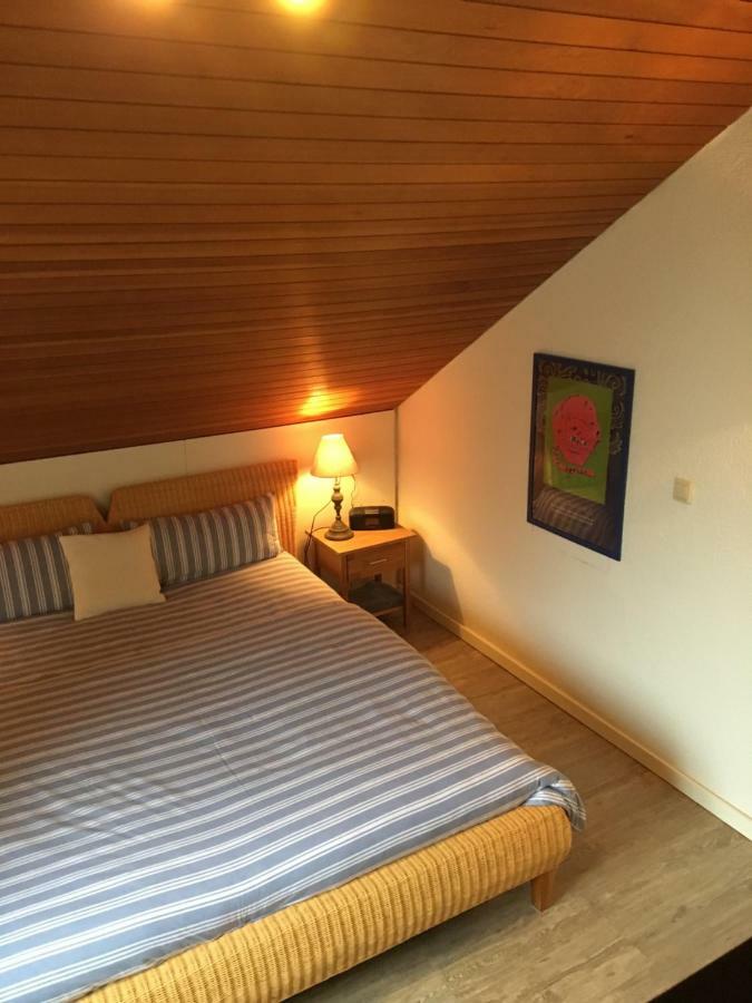 Apartment Schwarzwald Total Freudenstadt Exteriér fotografie
